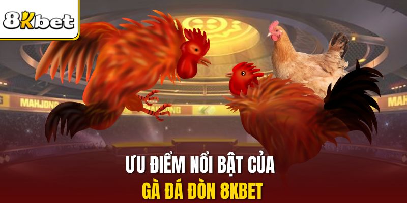 Ưu điểm nổi bật của gà đá đòn 8KBET
