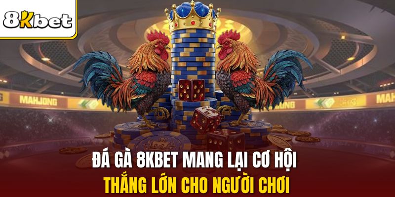 Đá gà 8KBET mang lại cơ hội thắng lớn cho người chơi